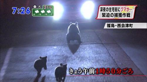 ちょっと変わった場所にいる動物の画像を貼るトピ