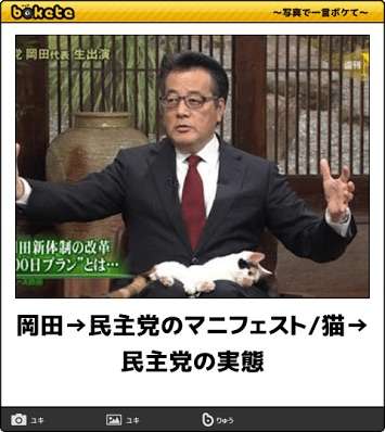 ちょっと変わった場所にいる動物の画像を貼るトピ