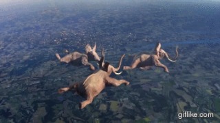 ちょっと変わった場所にいる動物の画像を貼るトピ