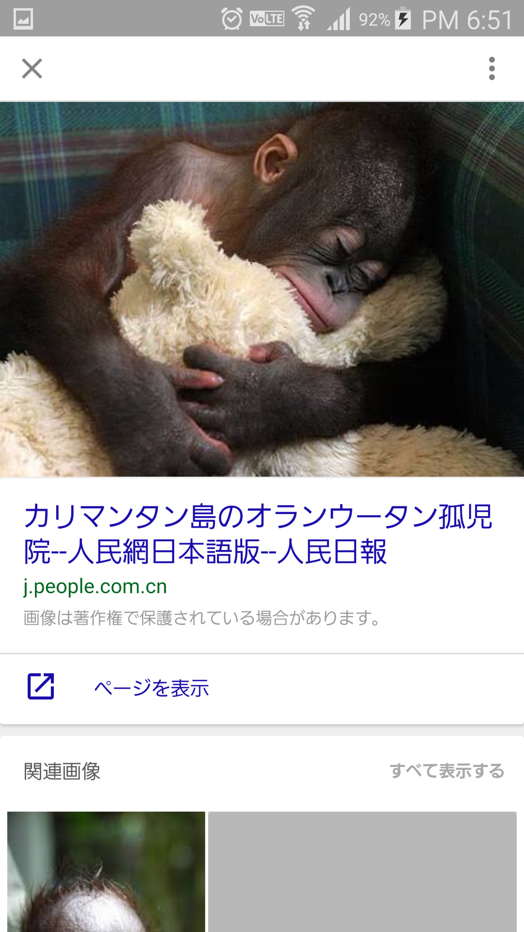超リラックスしている【動物画像】トピ♪