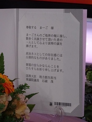 テレビ東京　看板ネコが人気の異色報道番組、3月で終了