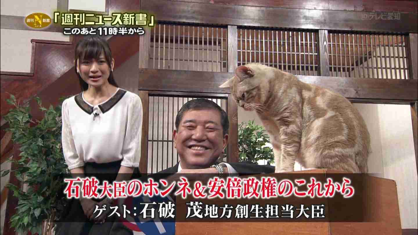 テレビ東京　看板ネコが人気の異色報道番組、3月で終了