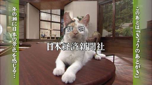 テレビ東京　看板ネコが人気の異色報道番組、3月で終了