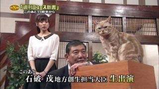 テレビ東京　看板ネコが人気の異色報道番組、3月で終了