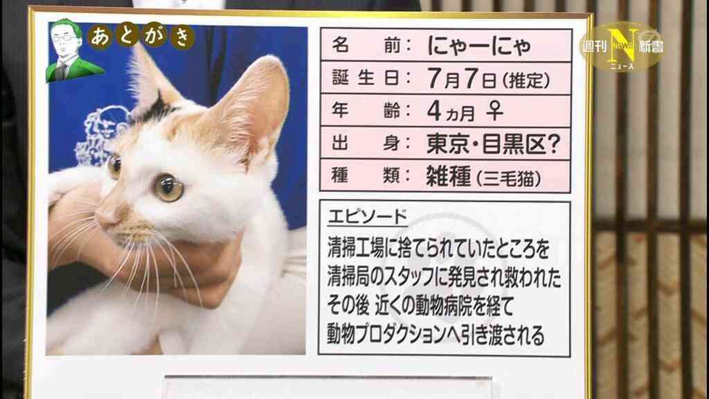 テレビ東京　看板ネコが人気の異色報道番組、3月で終了
