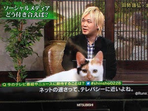 テレビ東京　看板ネコが人気の異色報道番組、3月で終了