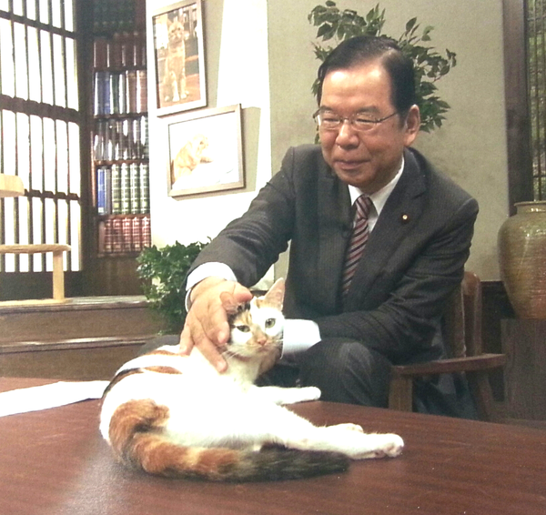 テレビ東京　看板ネコが人気の異色報道番組、3月で終了