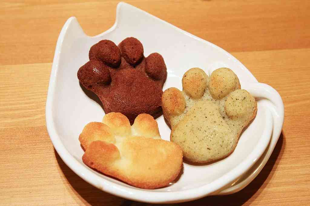 ガルちゃん猫カフェ☆2号店