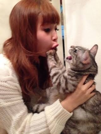 ガルちゃん猫カフェ☆2号店