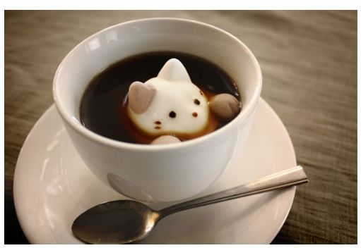 ガルちゃん猫カフェ☆2号店