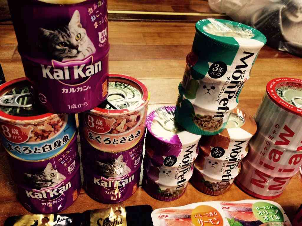 ガルちゃん猫カフェ☆2号店