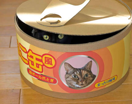 ガルちゃん猫カフェ☆2号店