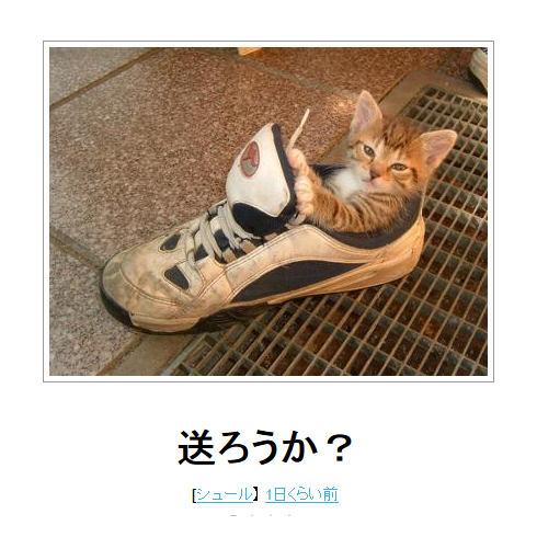 ガルちゃん猫カフェ☆2号店