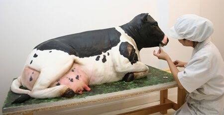 食べ物アートを貼りたい✰