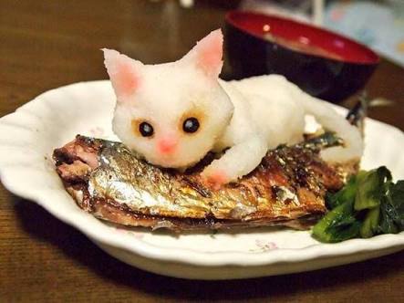 食べ物アートを貼りたい✰