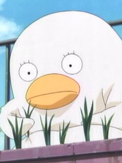 ガルちゃんで保存した画像を貼るトピ