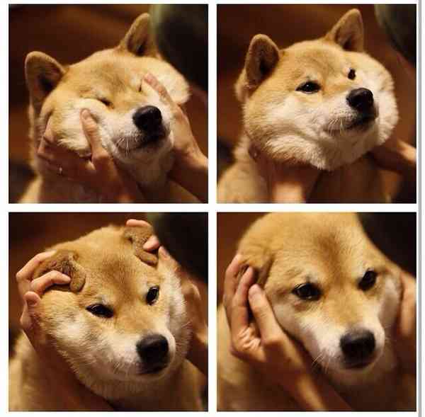ガルちゃんで保存した画像を貼るトピ