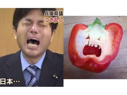 ガルちゃんで保存した画像を貼るトピ