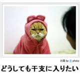 ガルちゃんで保存した画像を貼るトピ