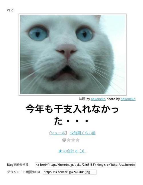 ガルちゃんで保存した画像を貼るトピ