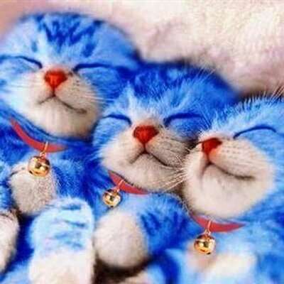 ガルちゃんで保存した画像を貼るトピ