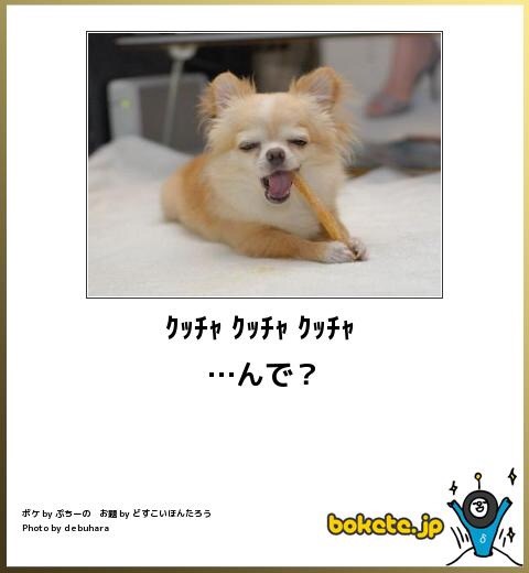 ガルちゃんで保存した画像を貼るトピ