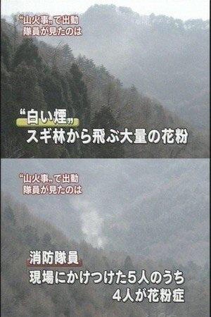 ガルちゃんで保存した画像を貼るトピ