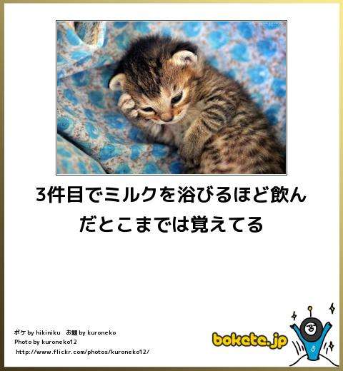 ガルちゃんで保存した画像を貼るトピ