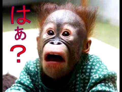 ガルちゃんで保存した画像を貼るトピ