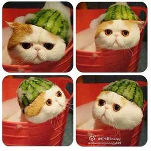 ガルちゃんで保存した画像を貼るトピ