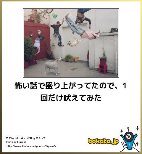 ガルちゃんで保存した画像を貼るトピ