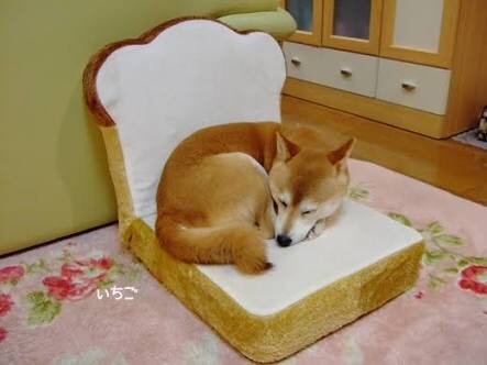 ガルちゃんで保存した画像を貼るトピ