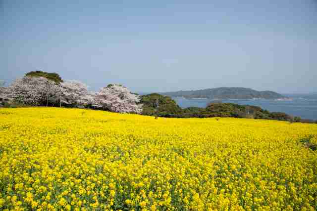 福岡への旅行でオススメの場所！