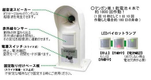 ガルちゃん怒り新党