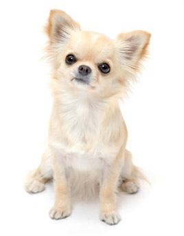 三大宗教（キリスト教イスラム教仏教）について