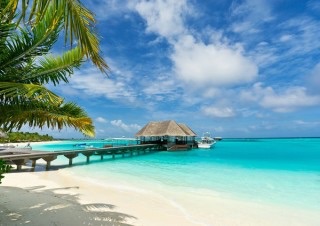 明日から自由に旅に出られるとしたら、どんな旅をしますか？