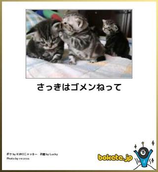 家族と喧嘩した後の仲直り方法