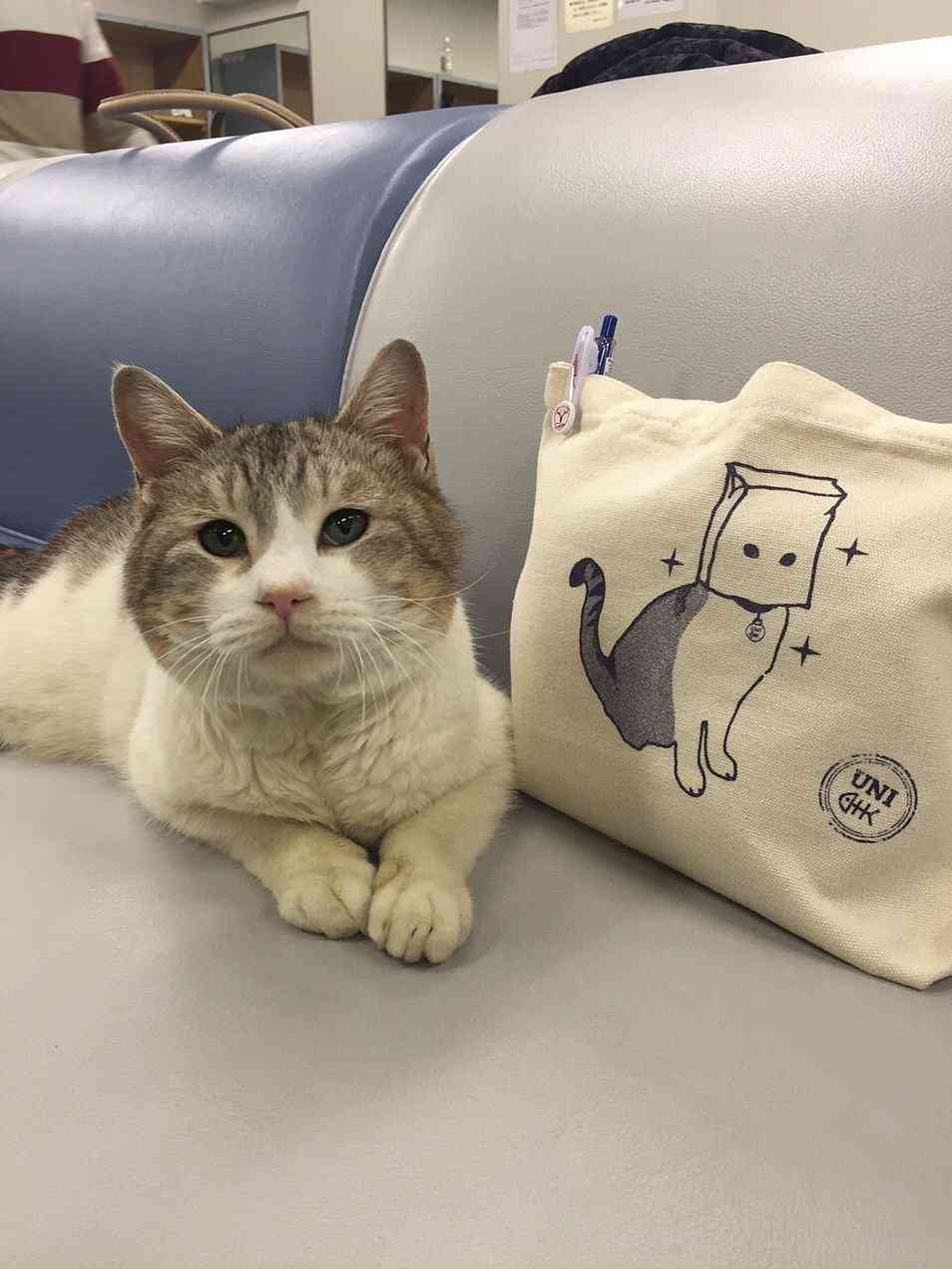 【実況＆感想】火村英生の推理　最終回