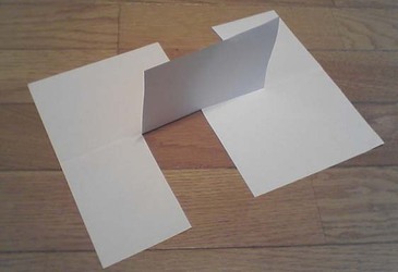 超常現象に見える画像を貼るトピ