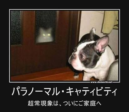 超常現象に見える画像を貼るトピ