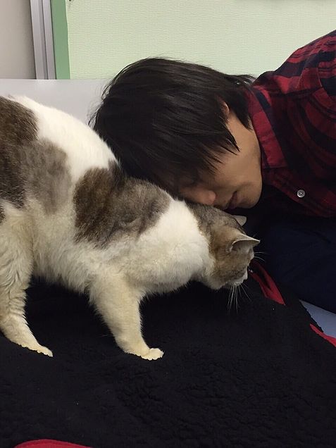 【実況&感想】火村英生の推理【拉致された窪田正孝!処刑宣告のピンチに斎藤工は…!?】♯09