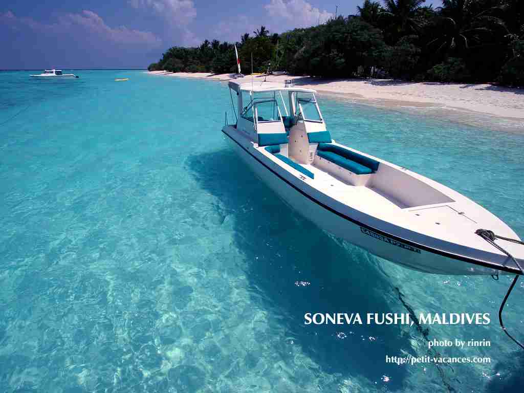 今何かあえてやめてることありますか？