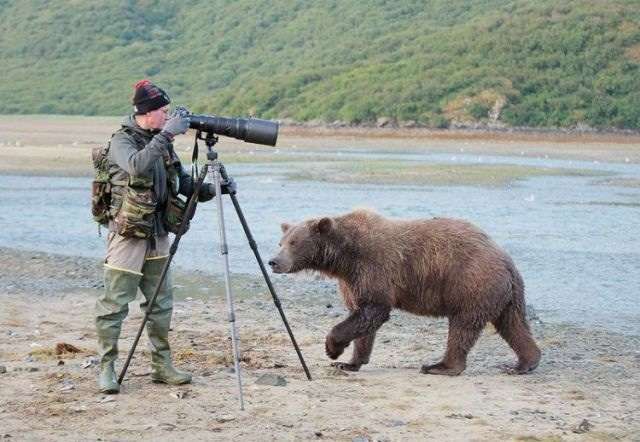 想像以上に過酷だった…動物写真家の努力と苦悩が一瞬でわかる画像