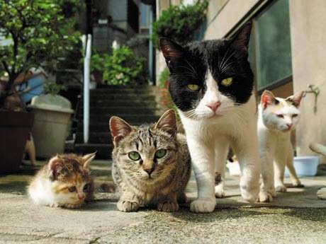 想像以上に過酷だった…動物写真家の努力と苦悩が一瞬でわかる画像