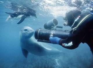 想像以上に過酷だった…動物写真家の努力と苦悩が一瞬でわかる画像