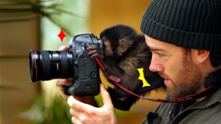 想像以上に過酷だった…動物写真家の努力と苦悩が一瞬でわかる画像