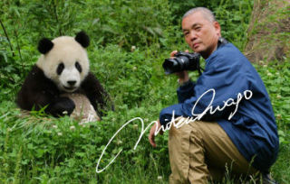 想像以上に過酷だった…動物写真家の努力と苦悩が一瞬でわかる画像