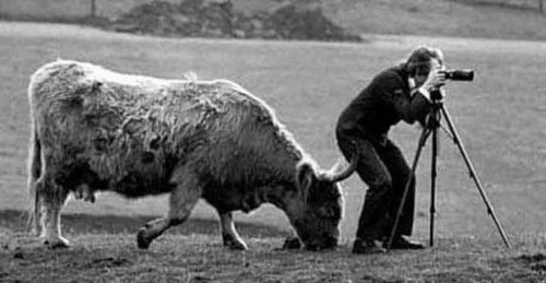 想像以上に過酷だった…動物写真家の努力と苦悩が一瞬でわかる画像