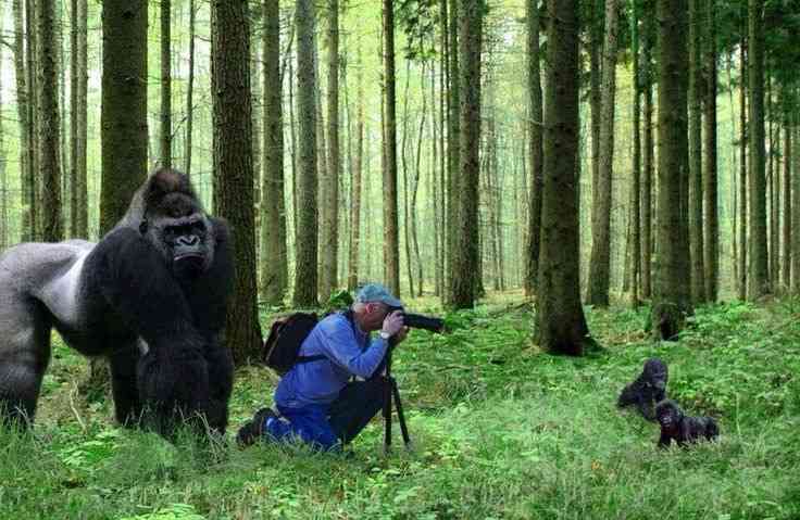 想像以上に過酷だった…動物写真家の努力と苦悩が一瞬でわかる画像