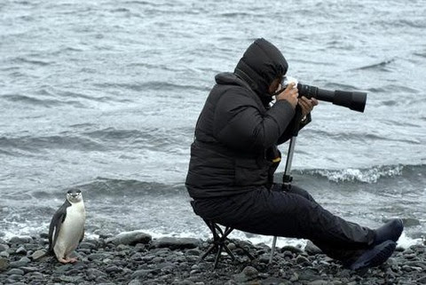 想像以上に過酷だった…動物写真家の努力と苦悩が一瞬でわかる画像